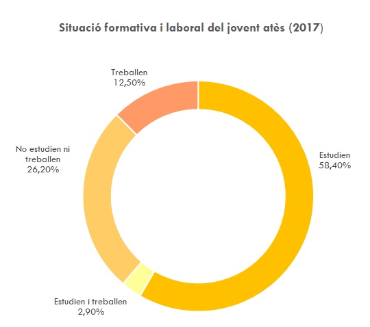 Situació formativa